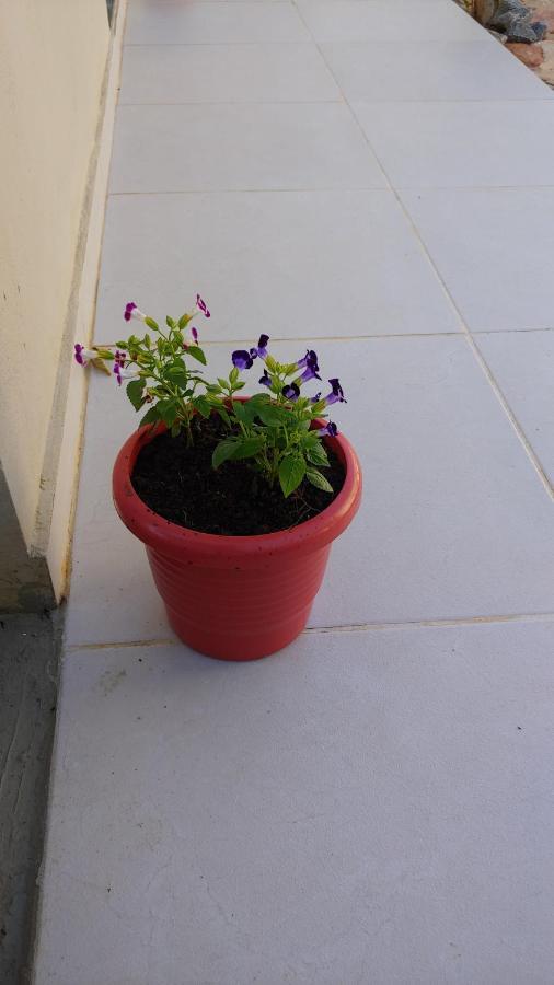 Casal Ostara Begonia Hotel Alto Paraiso de Goias Luaran gambar