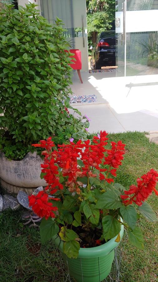 Casal Ostara Begonia Hotel Alto Paraiso de Goias Luaran gambar